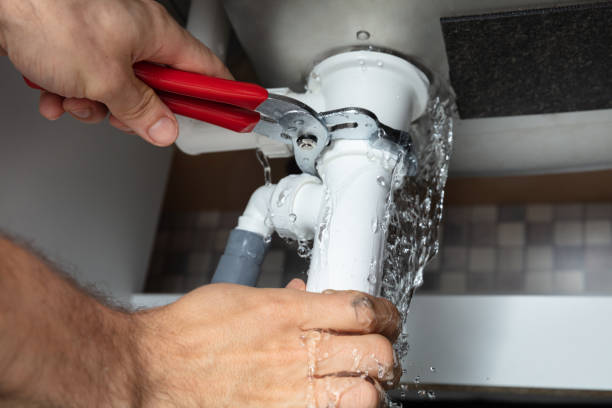 Best Mold removal after water damage  in Lampasas, TX