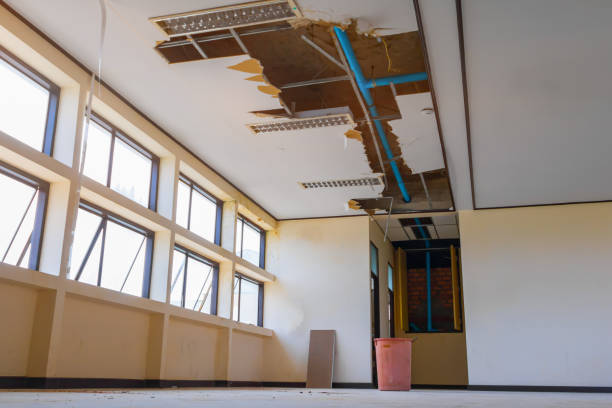 Best Water damage repair service  in Lampasas, TX