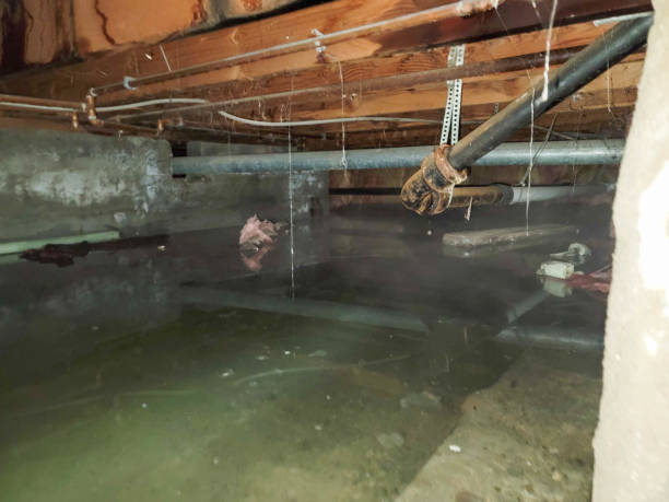 Best Commercial water damage restoration  in Lampasas, TX