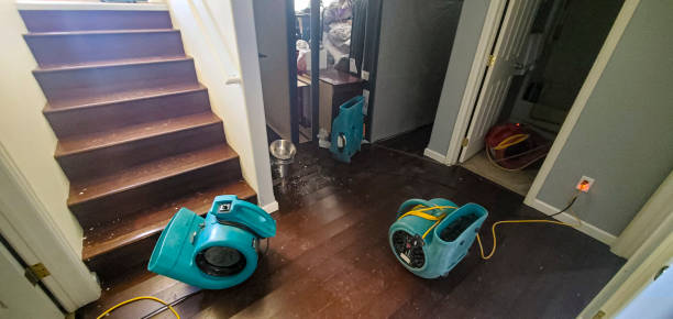 Best Sewage cleanup and water damage restoration  in Lampasas, TX