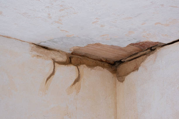 Best Water damage restoration experts  in Lampasas, TX