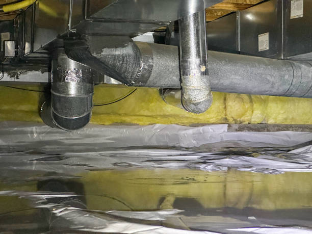 Best Water damage contractors near me  in Lampasas, TX